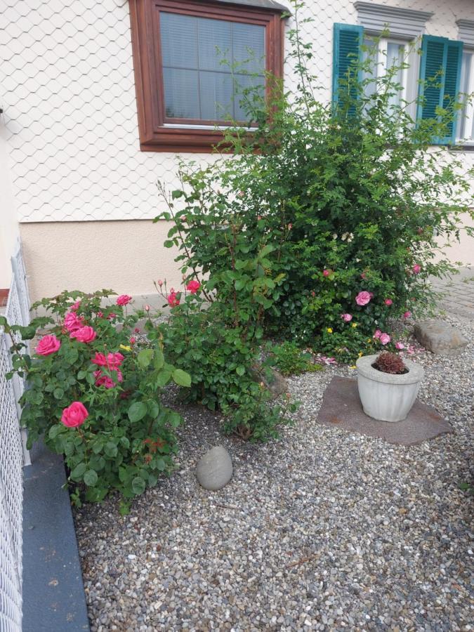 Ferienhaus Und Ferienappartements Brunner Höchst Exteriér fotografie